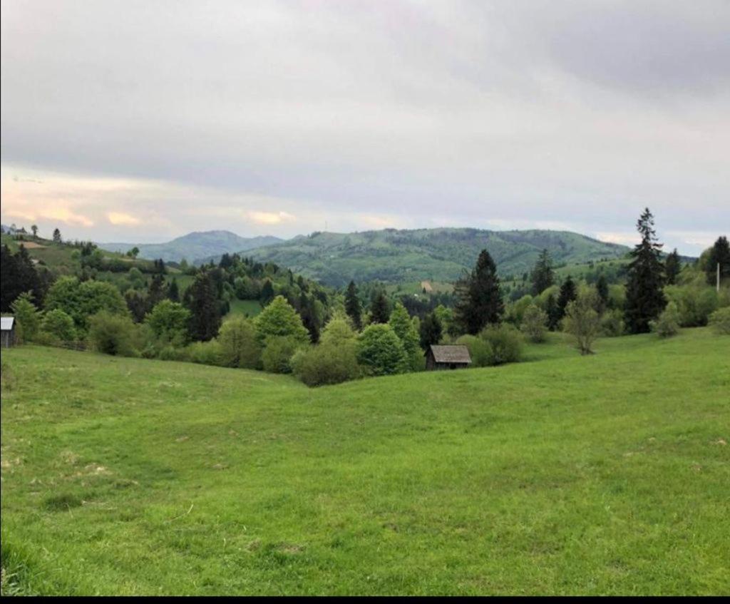 Pensiunea Trei Lalele Moisei Bagian luar foto