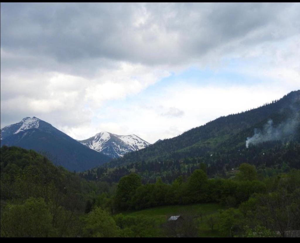 Pensiunea Trei Lalele Moisei Bagian luar foto