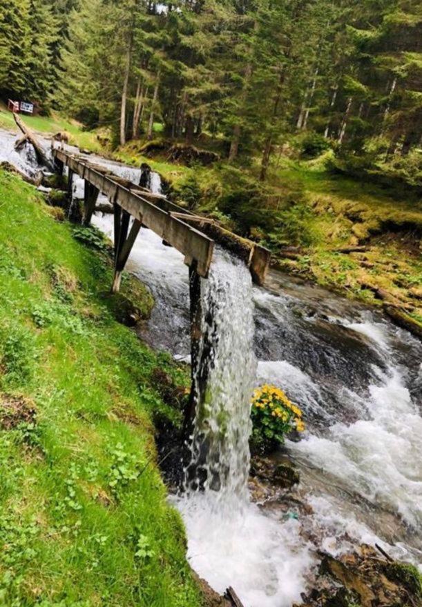 Pensiunea Trei Lalele Moisei Bagian luar foto